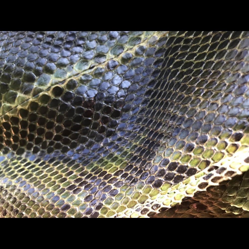 Real Python Bag. - image 8